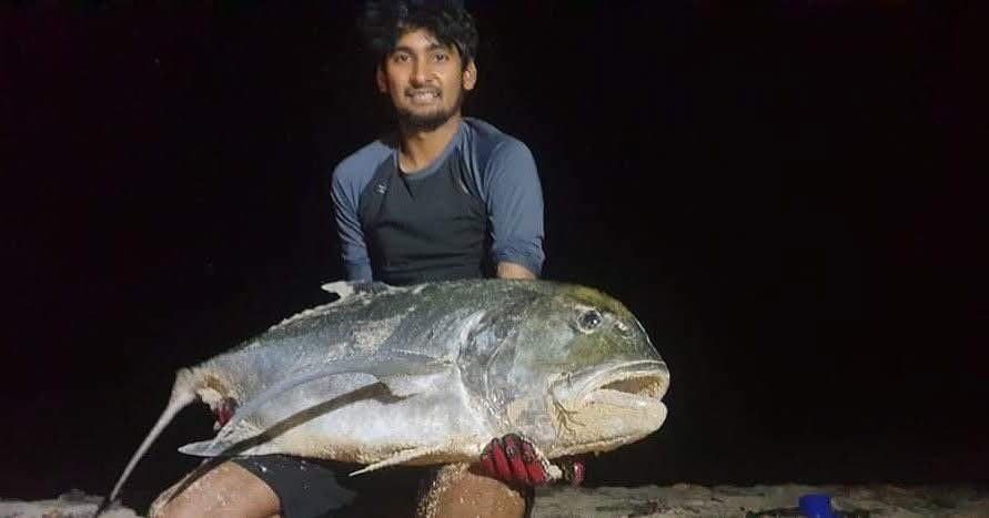 Monsterfische vom Strand