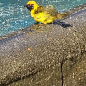 Premium Angebot für eine 3 Personen Gruppe