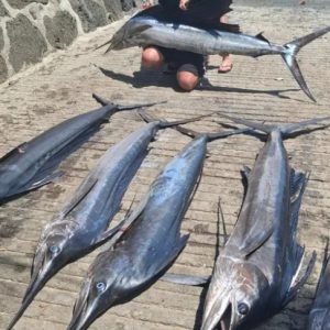 Port Louis – Hauptstadt mit Markt und Hafen