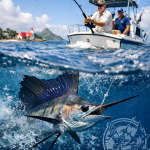 Angler und Segelfisch vor Cap Malheureux