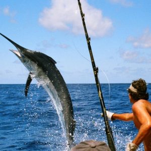 Nord-Tour – Kultur, Strände & Atmosphäre